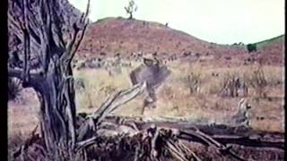 Cutters Trail Clip 1970 John Gavin Nehemiah Persoff [upl. by Tedmund101]