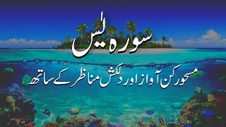 Surah Yasin with Urdu Translation [upl. by Alla]