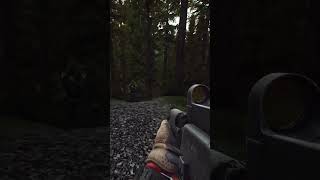 Average Tarkov Experience [upl. by Annatsirhc]