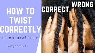 How To Twists Natural Hair Properly As A Protective Style  No Added Hair Needed [upl. by Ahnavas]