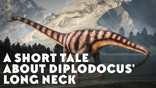 A Short Tale About Diplodocus Long Neck [upl. by Kesley]