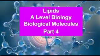 Part 4 Lipids  Biological Molecules [upl. by Admana]