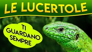 Le Lucertole ti guardano sempre ► Puntata 12 [upl. by Sayre]