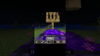 Minecraft Viral Hacks 💫✨🗿💀 shorts [upl. by Thorwald]