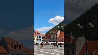 📍Piața Sfatului Braşov  Romania 🇷🇴 visitromania brasov romania [upl. by Haig]