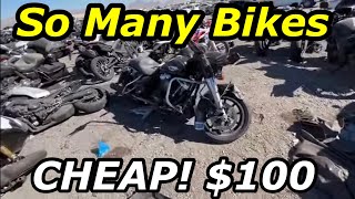 Copart Walk Around Motorcycles Many Cheap Harley Davidsons [upl. by Knight]