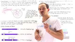 Proteolytic Cleavage of Digestive Enzymes [upl. by Imeaj]