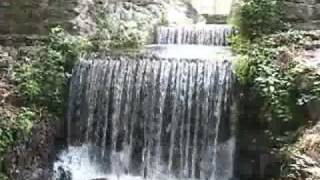 Poinsett State Park Waterfall [upl. by Halden112]