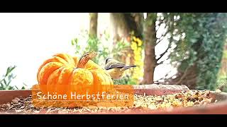 Schöne Herbstferien [upl. by Dazraf]