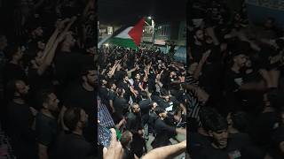 Karbala mai paisay hai aale rasool waila waila [upl. by Airyt557]