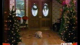 YTV The Dog Who Saved Christmas Commercial Short Nov 28 2009 [upl. by Socram72]