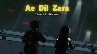 Ae Dil Zara Slowed  Reverb With Lyrics  Jubin Nautiyal  Lofi Song Mix sadsong lofi [upl. by Moule]