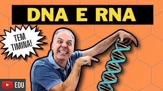 DNA E RNA  ÁCIDOS NUCLEICOS  BIOQUÍMICA com o Prof Hilton Ciência Traduzida [upl. by Sehguh102]