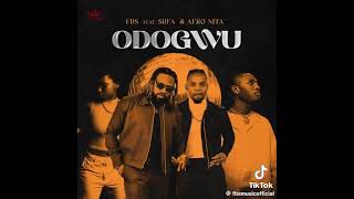 Afronitaa new song ODOGWU is out now ghana tiktokviral viral Afronitaa [upl. by Perr600]