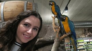 GROOTSTE DIERENWINKEL VAN NL amp FAMILIE BEZOEKEN VLOG [upl. by Alexia]