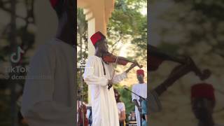 Zanzibar Culture Song 🎻🎻🎵 newmusic rhythmsofafrica dancemusic music africanrhythms musicgenre [upl. by Ecenahs]