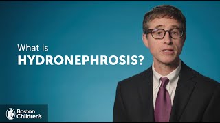 What is Hydronephrosis  Boston Childrens Hospital [upl. by Butterworth430]