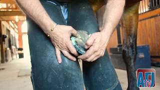 Using Copper Sulfate Spray to Address Hoof Issues [upl. by Aracal]