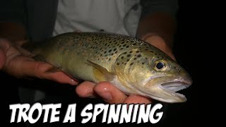 Pesca Spinning trota lago [upl. by Ardyce267]