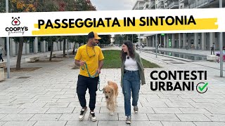 Come insegnare al cane a non tirare al guinzaglio  Tutorial con naturalmentecani [upl. by Sllew]