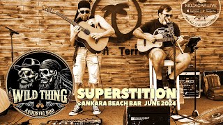 Wild Thing  Superstition [upl. by Aholla664]