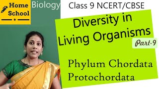 Diversity in living organismspart 9class 9biologyHomeSchoolChannel [upl. by Donn]