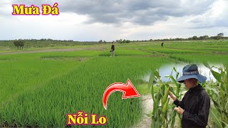 Linh Philip  Sự Yên Bình Ở Trang Trại Việt Phi Farm Trước Khi Trận Mưa Đá Càn Quét [upl. by Giwdul]