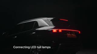 The new Hyundai CRETA  Distinctive LED Lights [upl. by Eiderf]