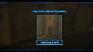 Zelda Botw  Easy way to take take photo of Smotherwing Butterfly Hyrule Compendium [upl. by Rooke]