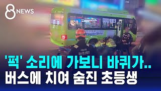 quot퍽 소리에 가보니 바퀴가quot 버스에 치여 숨진 초등생  SBS 8뉴스 [upl. by Quill]