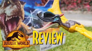 REVIEW Dsungaripterus Ferocious Pack  Jurassic World Dominion Mattel [upl. by Eisus]