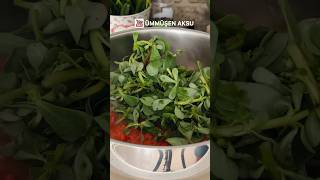 ANTALYA USULÜ SEMİZOTU 👌 semizotu tasty purslane recipes shorts ümmüşenaksu [upl. by Octavian]