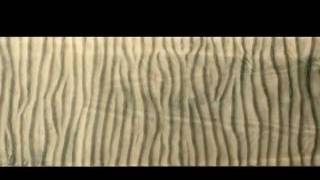 Dynamics of Wave Ripples [upl. by Fogarty96]