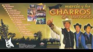 Los Charros de Lumaco  En Vivo 2007  FULL ALBUM [upl. by Mateusz363]