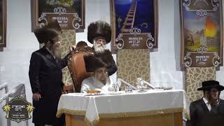 Hoshana Rabbah 5785 in Satmar [upl. by Otrebogir388]