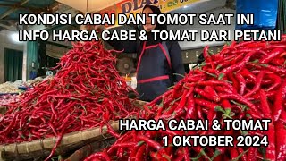 Harga cabai merah hari ini 1 Oktober 2024  Info harga tomat dan cabai saat ini di Jawa Timur [upl. by Ellora]