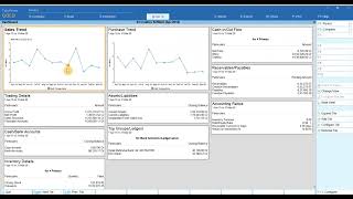 Dashboard from TallyPrime  4x Release  New Feature  Creative Softtech [upl. by Fondea]