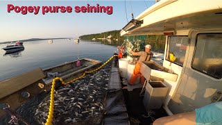 Menhaden purse seining [upl. by Nhguaved]