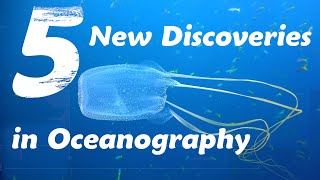 Recent findings in oceanography [upl. by Aikemet66]