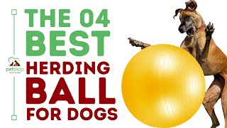 The Best Herding Ball for Dogs [upl. by Swayne813]