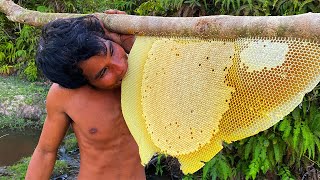 Million Dollars Skill Brave Millionaire Harvesting Honey Beehive by Hands [upl. by Saidee53]