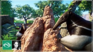 🐜 Giant Anteater Habitat  Koali Zoo  Planet Zoo Collab  Ep 23 [upl. by Ahsaenat]