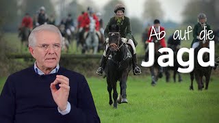 Ein Prüfstein für gutes Reiten🐎 Jagdreiten  warum es so viel abfragt 😵 [upl. by Attah134]