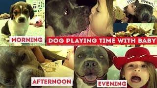 ♥ ♥funny dog amp her nearest baby girls playing game♥♥dogs barking baby♥♥ [upl. by Publus]