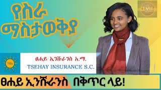 Ethiojob vacancy 2023 today  Tsehay Insurance SC job vacancy  የስራ ቦታ ማስታወቂያ ከፀሐይ ኢንሹራንስ አማ [upl. by Aduhey]