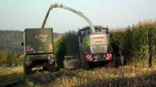 Biogasanlage Esbach Maishäckseln und SIlo [upl. by Ranilopa]