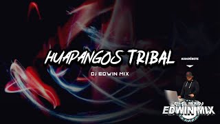 TRIBAL HUAPANGOS 2022 DJ EDWIN MIX [upl. by Gnehp434]