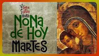 🟢 ORACIÓN DE NONA MARTES 5 de Noviembre de 2024 Liturgia de las Horas [upl. by Notlaw]