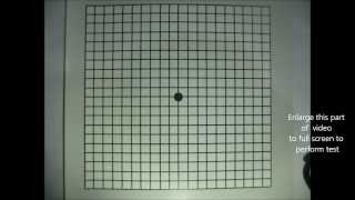 Amsler Grid Test Home Vision Test [upl. by Lukasz]