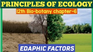 12th standard biobotany chapter6 Principles Of EcologyEDAPHIC FACTORS12th SCERT BIOLOGY TAMIL [upl. by Rabassa637]